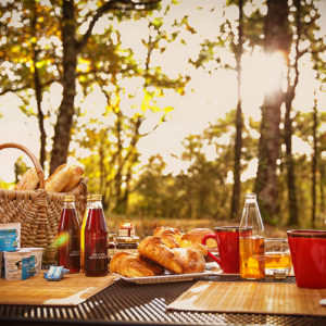 Petit-déjeuner terrasse chalet spa Toulouse